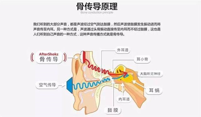 韶音AS800骨传导专业运动耳机：不塞耳朵也能听