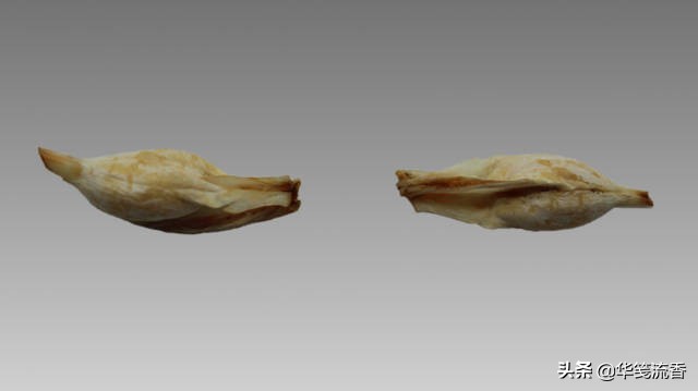 鱼宝是鱼类胃肠道里的结石.常见于石斑鱼和鲨鱼等大型鱼类体内.