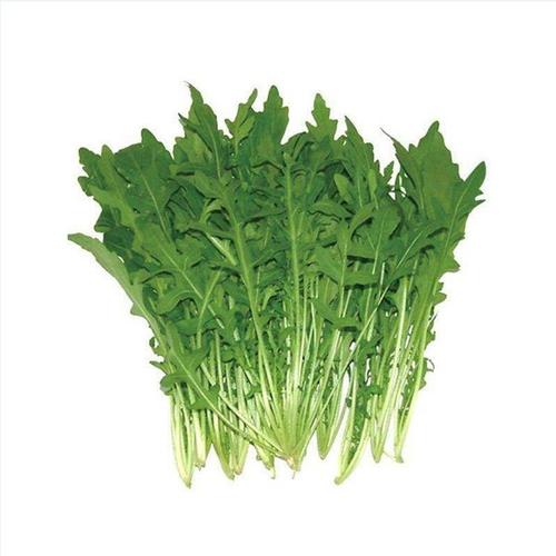 问你个问题，你可敢回答：“芥菜一共有多少种？”