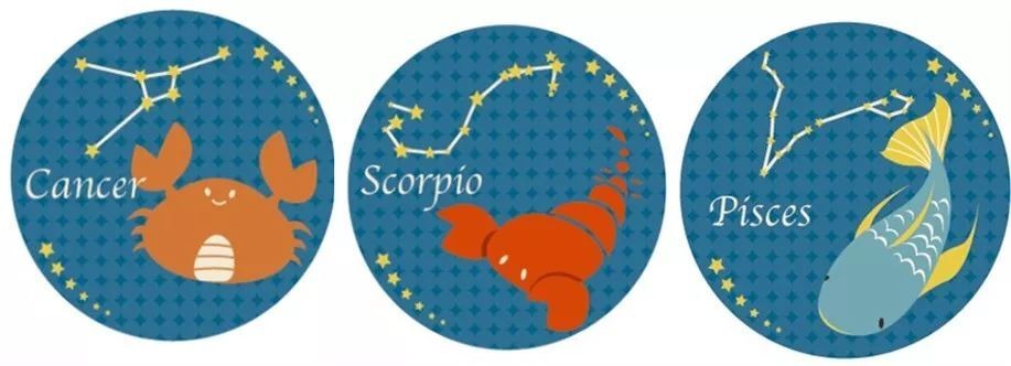 根据星座来穿衣打扮,水象星座请收藏