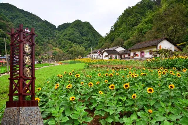 西安周边游 | 这八大美丽乡村太有魅力了，你去过几个？