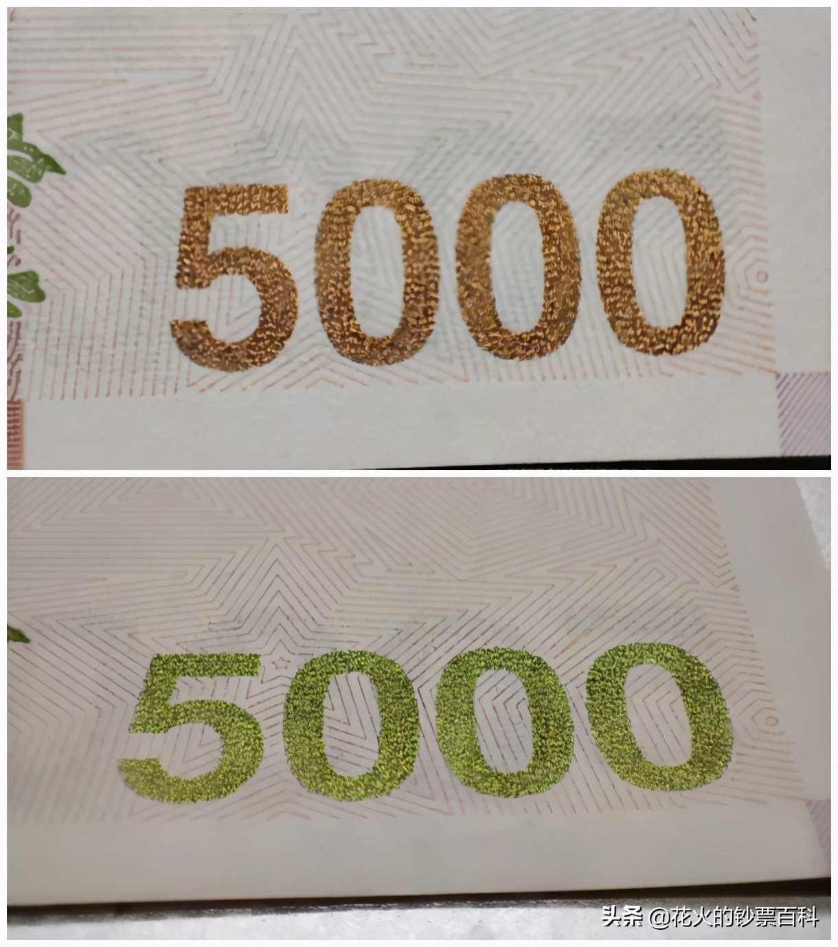 韩币5000是人民币多少图片