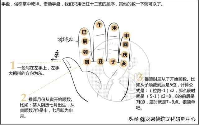 地支的阴阳属性及运行规则是什么？