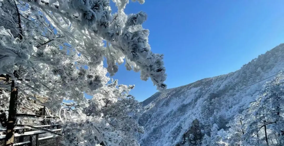 12月杭州哪里可以滑雪(千米高山，十年品牌，临安大明山万松岭滑雪场昨天开滑)