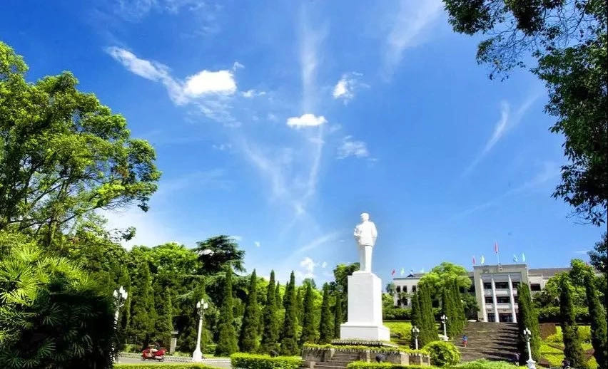 高考分数公布后怎么填志愿？重庆10所大学官方渠道，在线就能咨询