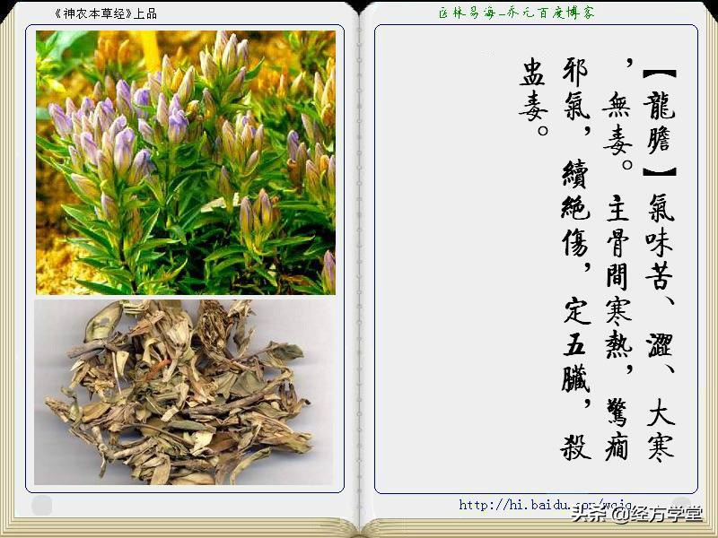 《神农本草经》全册图文解析 建议收藏