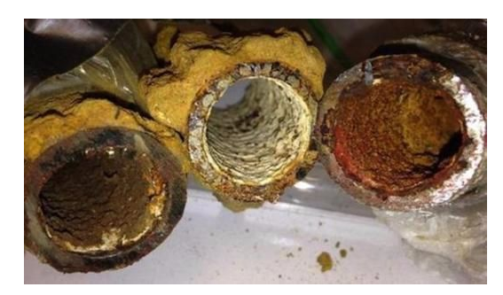 净水器不值得安装，都是忽悠人的圈套？揭露事实真相，别被欺骗
