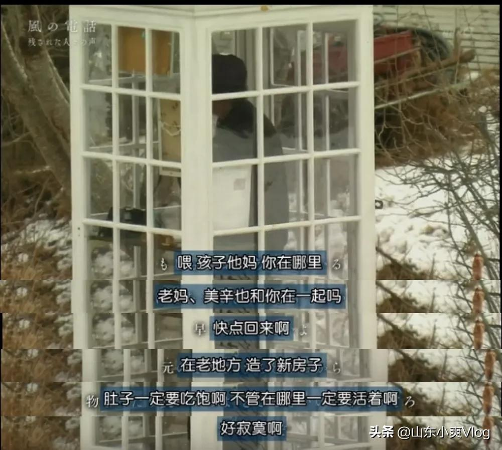 女明星一句话惹哭何炅:人生最残忍的事,就是来不及告别