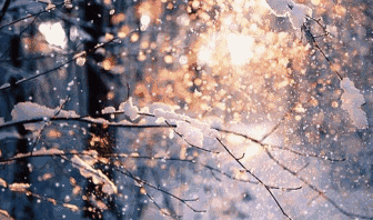 「向大师学写作」十位大师笔下的冬天，太美了