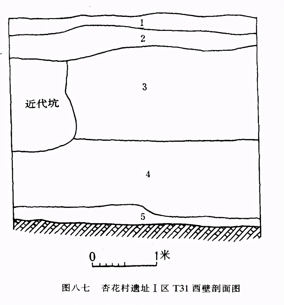 山西省汾阳市杏花村发现仰韶文化遗址