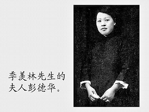 季羡林：一切众生皆有情，一切众生皆过往｜《我爱天下一切狗》