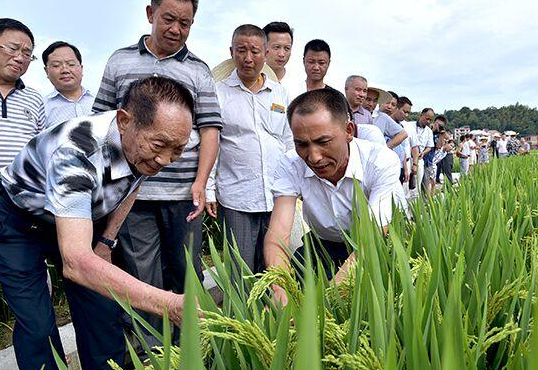 袁隆平母校，一所不带“师范”二字的师范大学，想考师范的可关注
