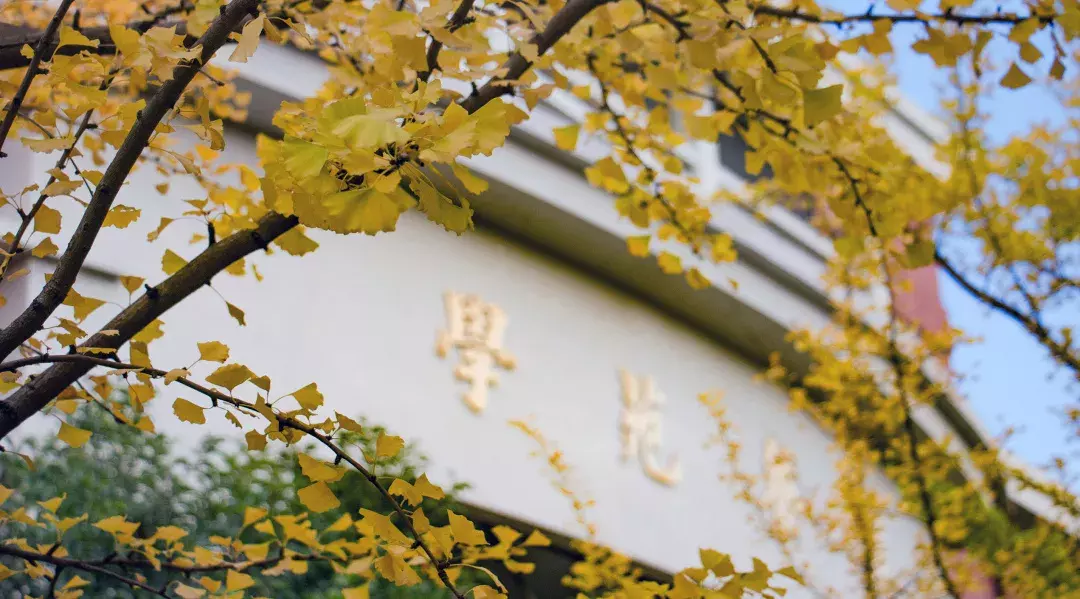 开学了，去青岛最美大学去逛一逛吧，个个堪比5A级景区