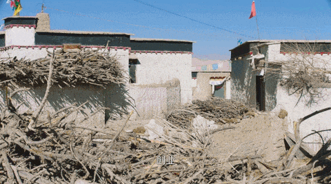 宅家不开心的城市人，都该看看这部神级国产纪录片