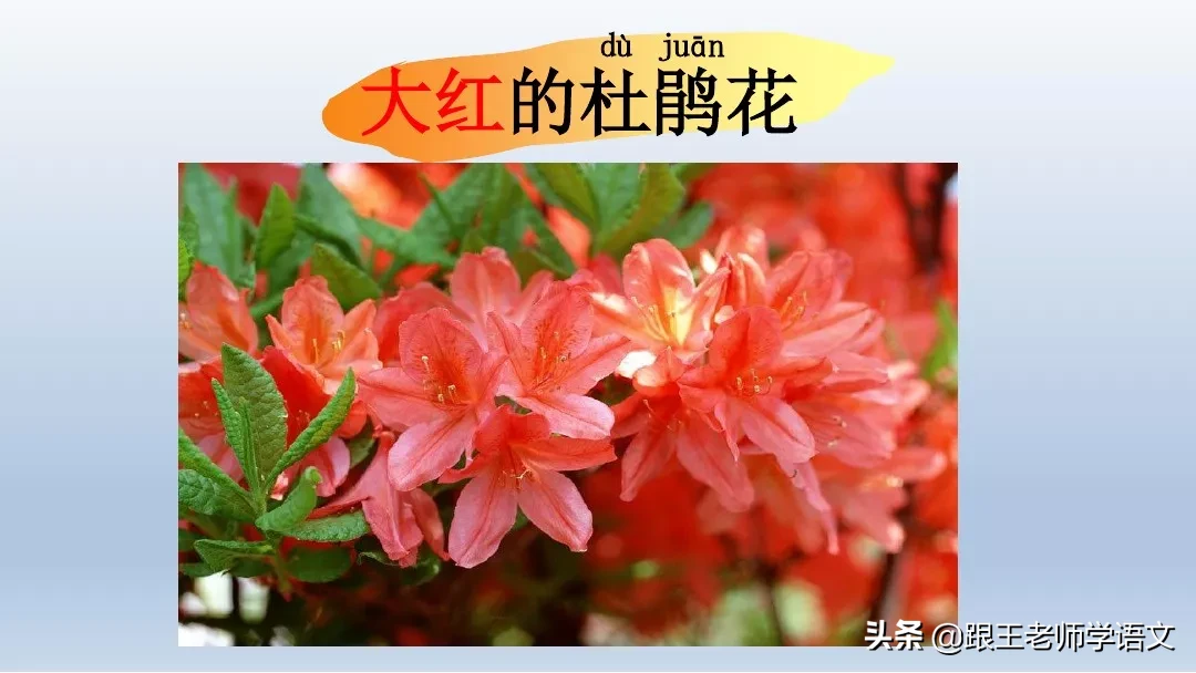 部编语文一年级下册4、四个太阳+朗读+知识点+图文解读