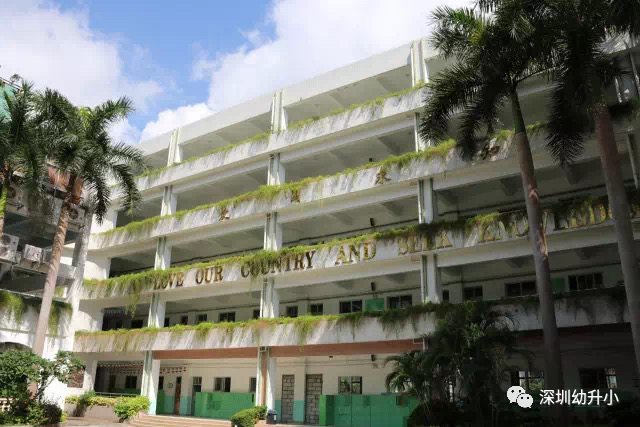 民办也要学区房？深圳这10所优质民办学校，家长报名挤破头