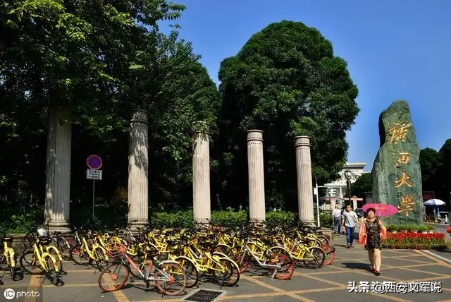 广西大学2019年录取分数线！