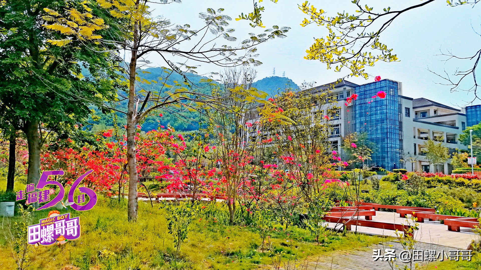 中国第一所，也是唯一一所本科茶学院，深藏于大山里，清新似茶！