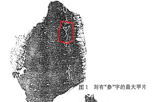 岑参的参字读音及唐代诗人岑参简介