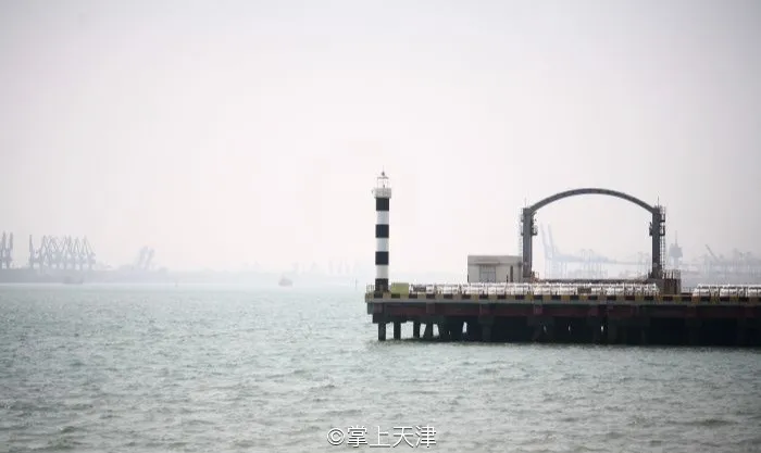 赶海拾贝挖蛤蜊，天津这些地儿你都去过吗？