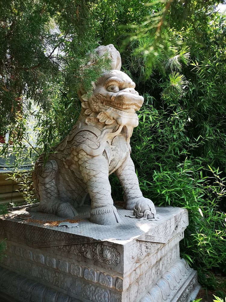 北大印象，漫步北大校园