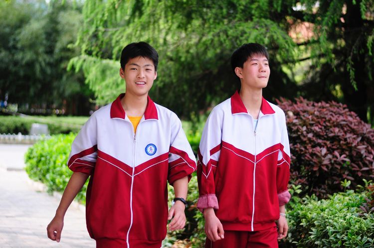 开发区实验学校：美矣美矣，开实芬芳“桃李”