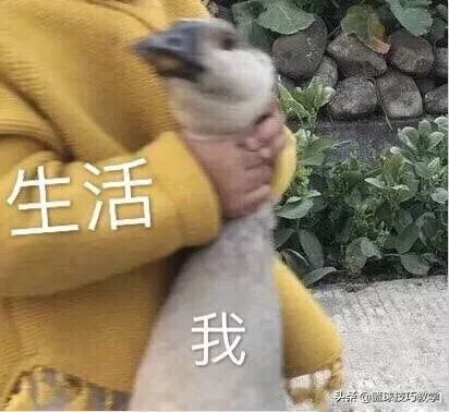 nba為什么用冰敷膝蓋（NBA首例，冰敷導致退役，他的膝蓋就這樣徹底廢了）