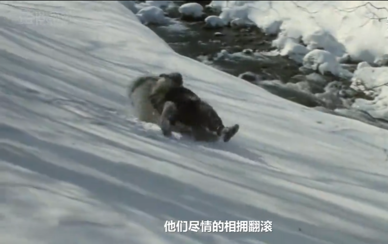 一女二夫：赵本山的小品里，藏着一个隐秘又悲伤的东北民俗