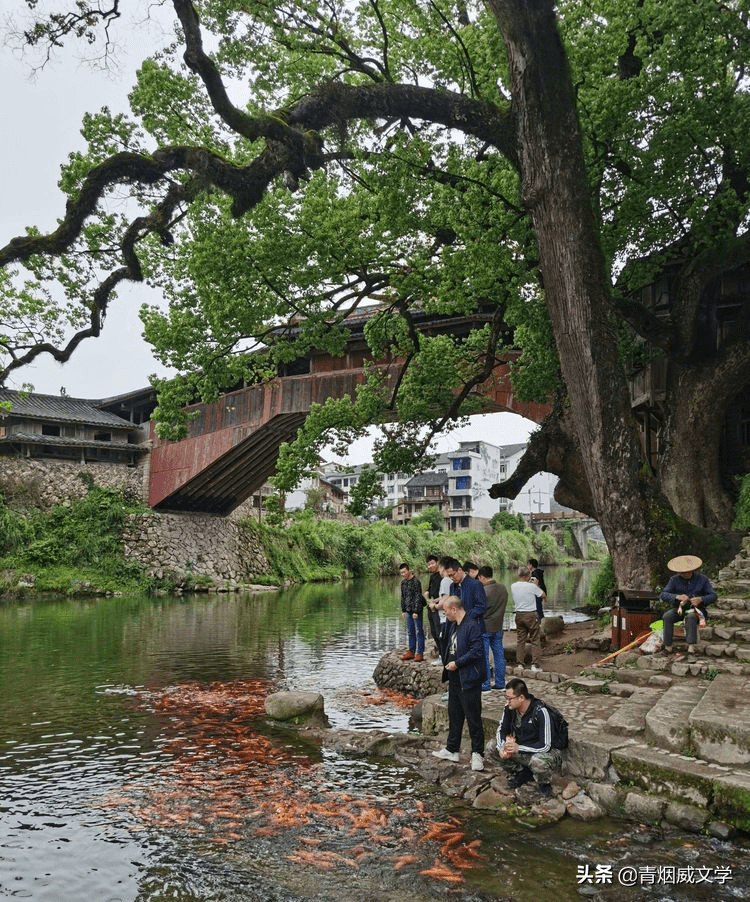 廊桥寻梦，泰顺最美古廊桥