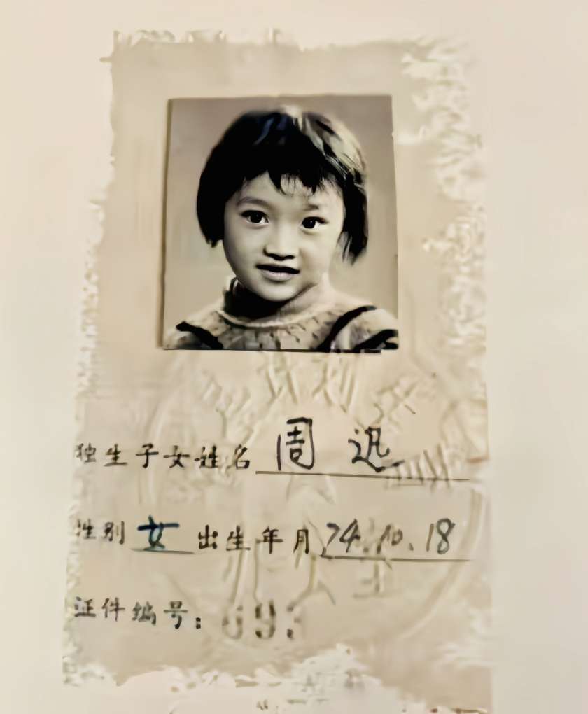 周迅简历个人简介周迅简历个人简介