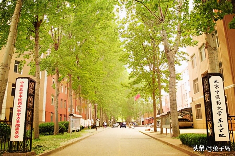 最新出炉：2021年河北省民办大学排名！燕山大学里仁学院夺冠