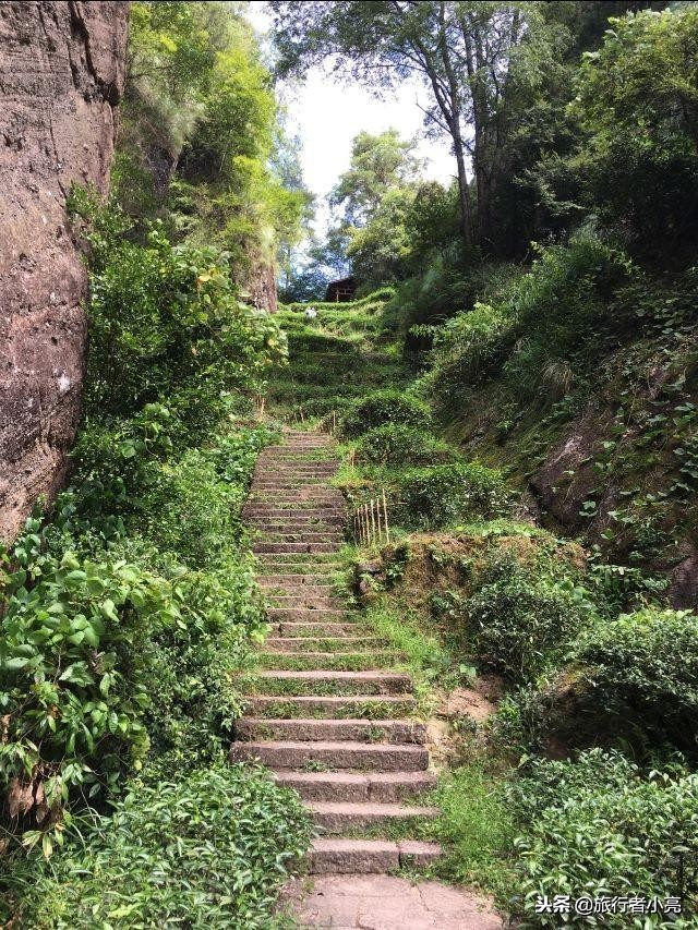 福建十大旅游景点，福建十大必玩旅游景点排行榜，您去过哪些呢？