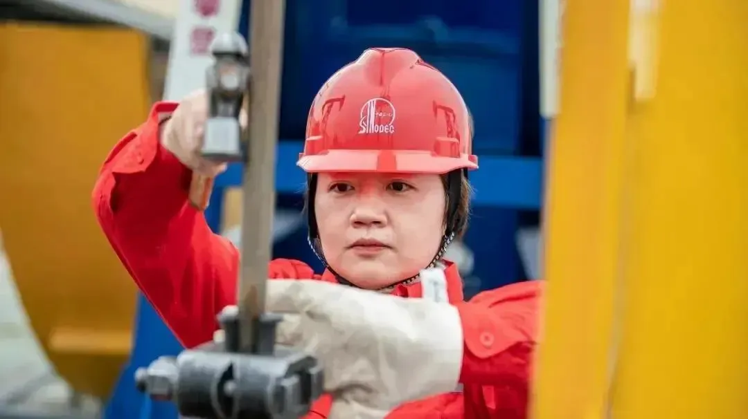 奇缘！来自湖北同一所大学，这12人纷纷获国家级重磅表彰