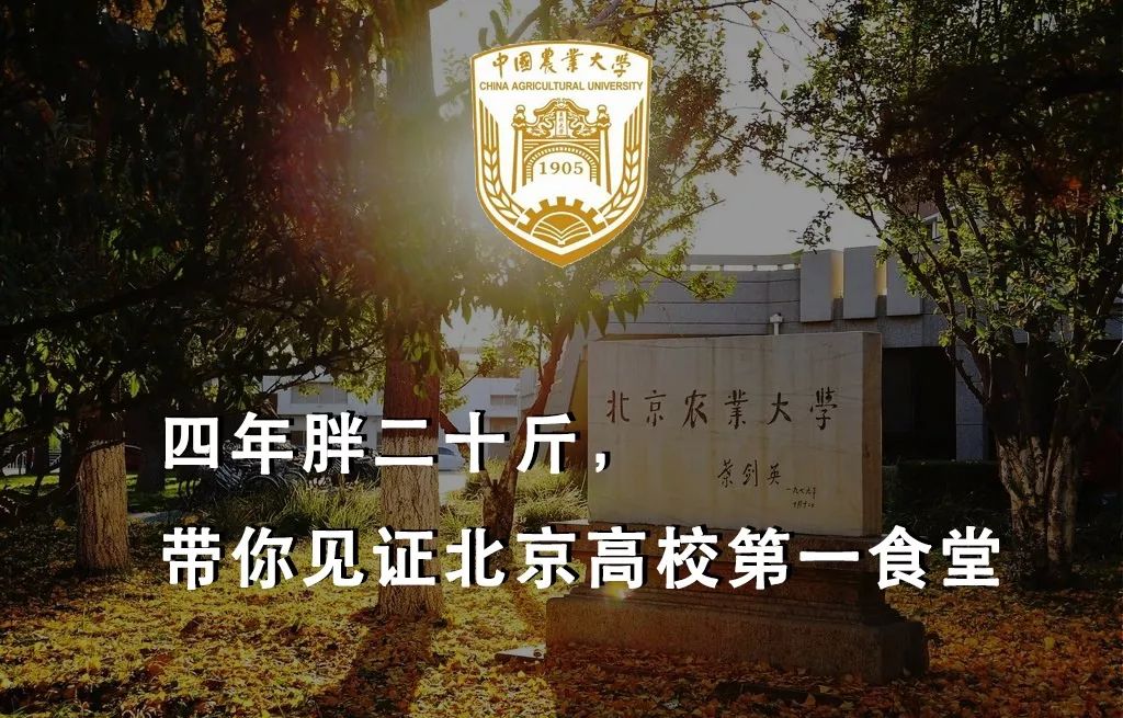如果中国大学都有一句诚恳的slogan…