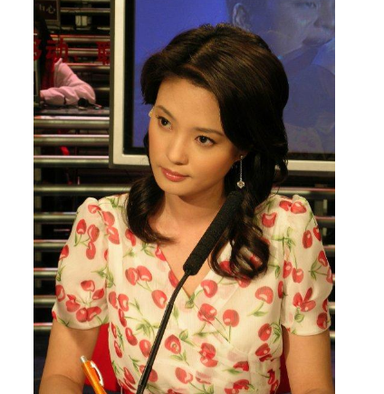 程雨涵个人资料(央视美女主持人盘点,每个频道都有一位收视密码)