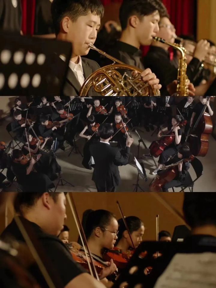 立足素养，为孩子构筑未来！绿城这所九年一贯制老牌民办学校深度探校报告来了