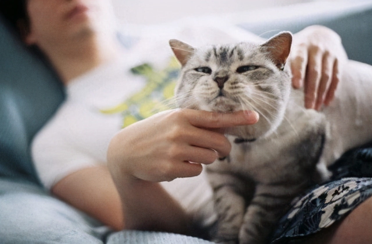 这样养猫的主人，说明很无知，会“害死”猫的