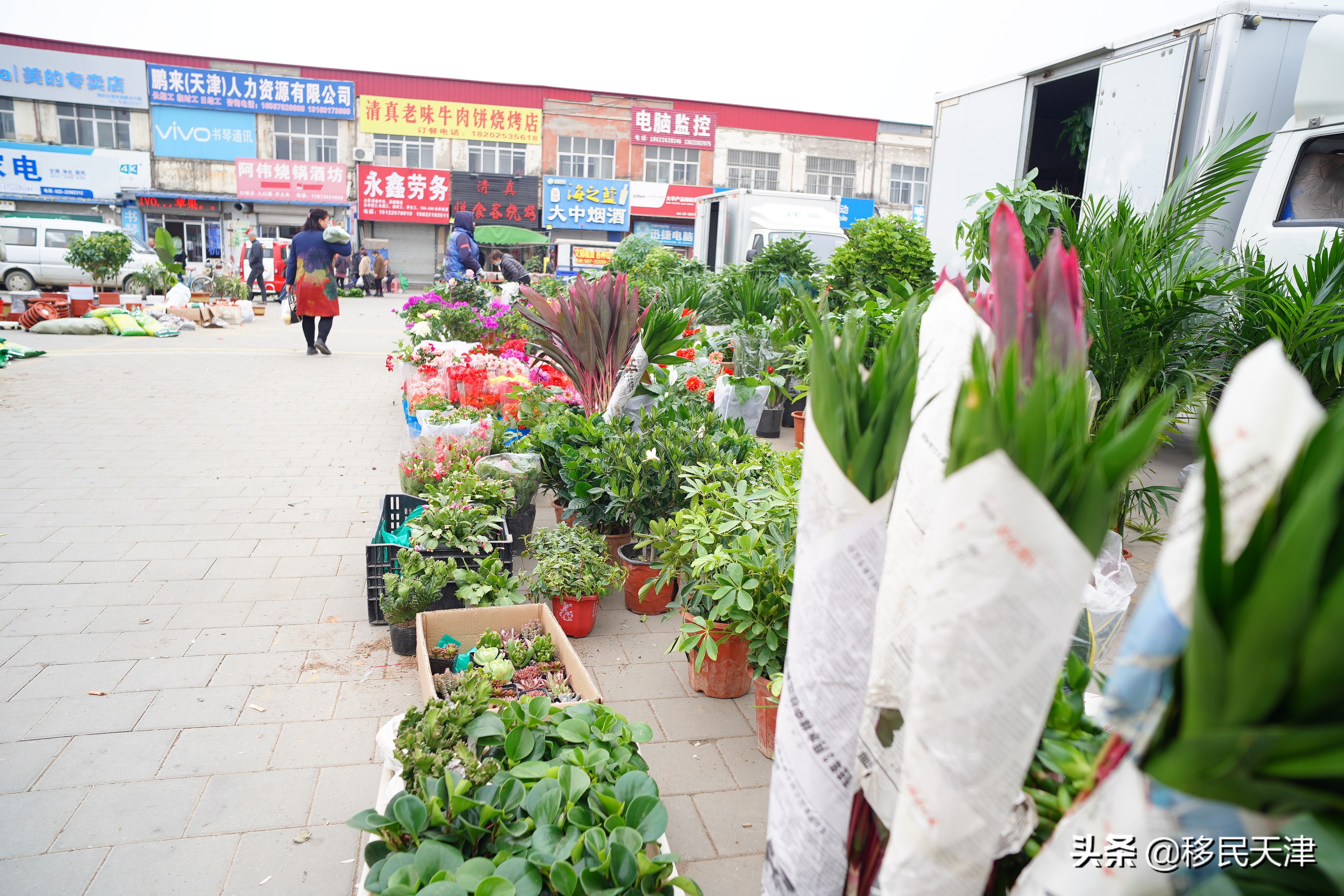 󼯵ʱ͵ص㣨xiangʱ䣩-leѶ