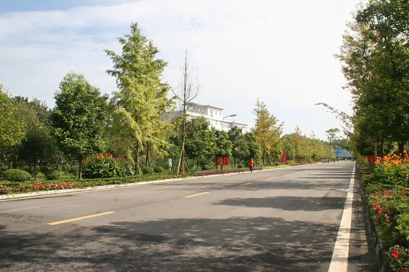 温江这所大学百年办学历史，进四川国家电网人数稳居专科第一