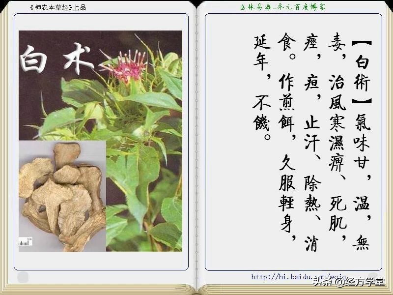 《神农本草经》全册图文解析 建议收藏