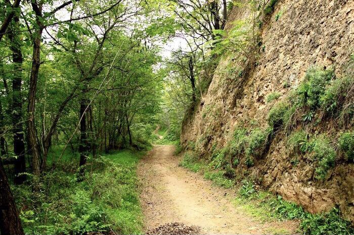 不舍得女儿上大学，妈妈住宾馆陪读，“巨婴”越来越常见