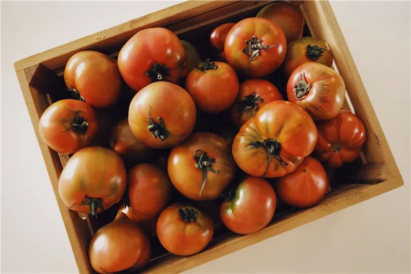 天津的西红柿,早该火了