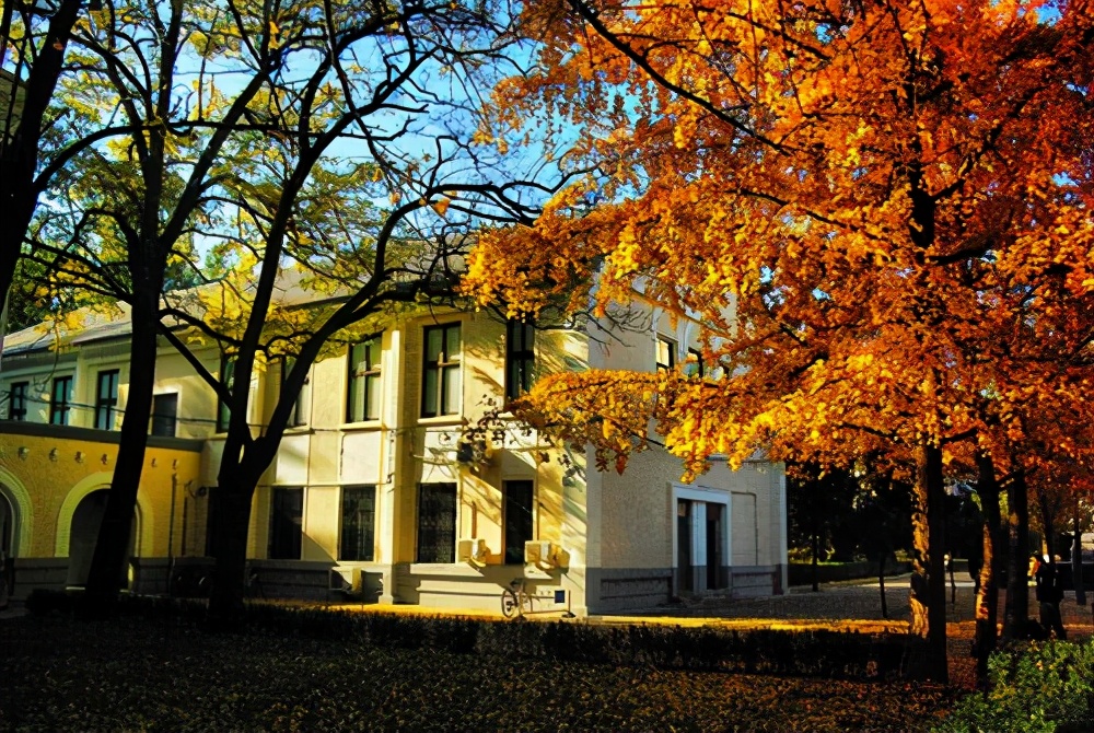 211工程大学名单曝光，北科大成最强211？网友却表示正常