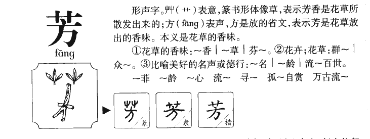 芳字取一个特别的网名（用芳字取个优雅网名）-第3张图片-科灵网