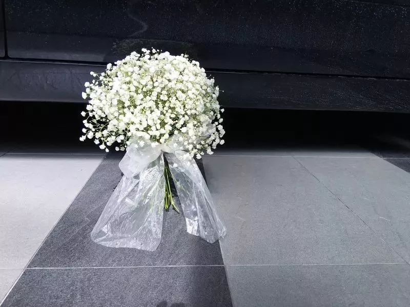 怎么把花做成干花（5个方法轻松制作精美的干花）