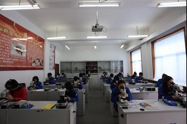 「直击单招」繁花似锦踏春来 未来可期共前行