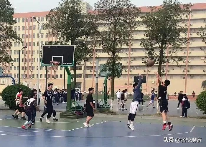 致青春，给梦想！成川外学子，用朝气与活力，尽展激情、健康阳光