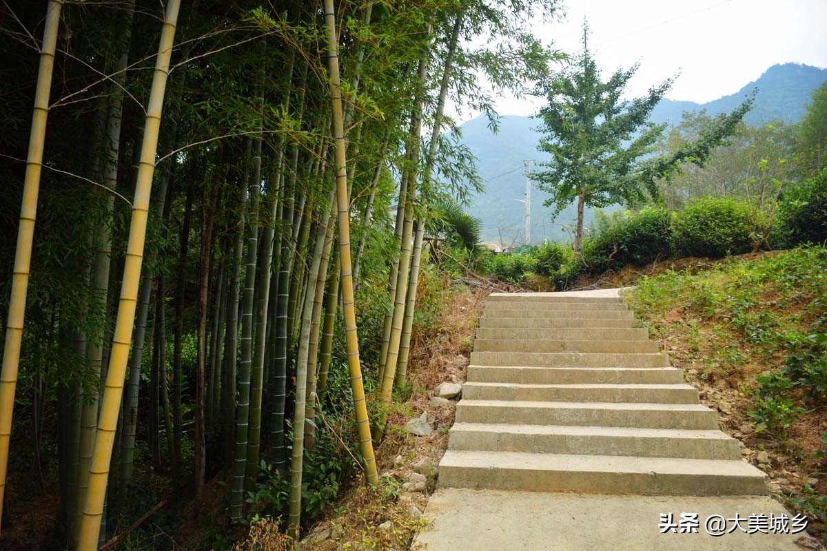 农村人在水边建栈道，散步如旅游，采茶似逛公园