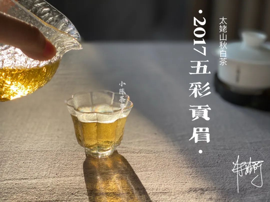 从白毫银针、白牡丹、寿眉，新茶友第一次买白茶有什么推荐吗？