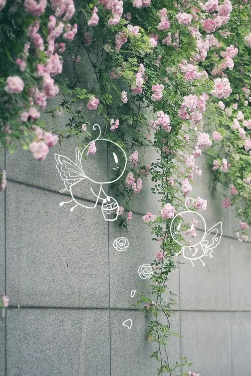 你的理想大学，终于被做成了手机壁纸